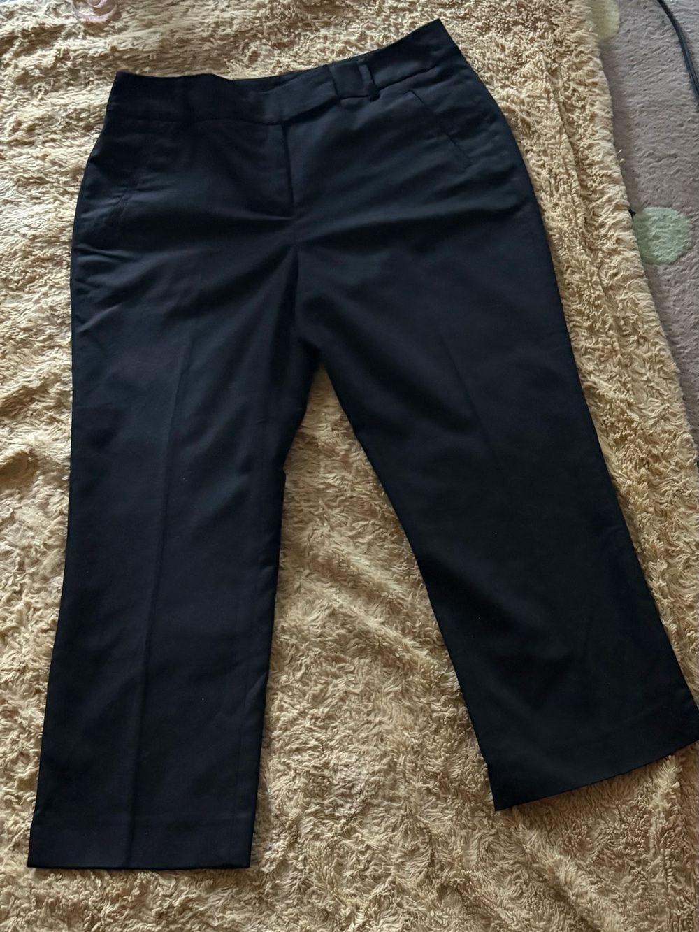 Charter Club Classic Fiit Women's Ankle Pants Black, Size 8